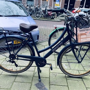 2019 Spirit Transporter Blue