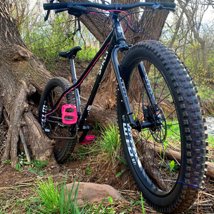 2020 Surly Karate Monkey Black