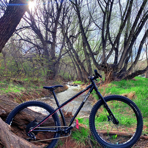 2020 Surly Karate Monkey Black