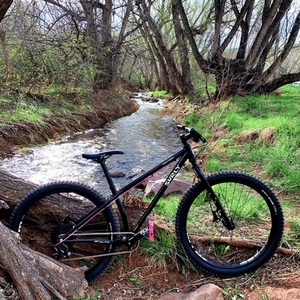 2020 Surly Karate Monkey Black