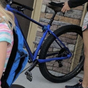 2017 Specialized Fuse Expert Blue