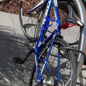 2010 Trek 1.1 Blue