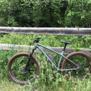 2020 Specialized Fuse Green