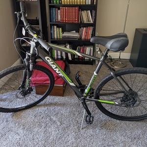 2020 Giant Roam Silver, gray or bare metal and Green