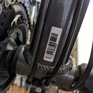 2020 Giant Roam Silver, gray or bare metal and Green
