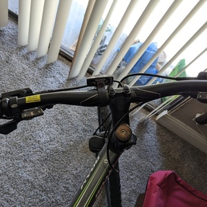 2020 Giant Roam Silver, gray or bare metal and Green