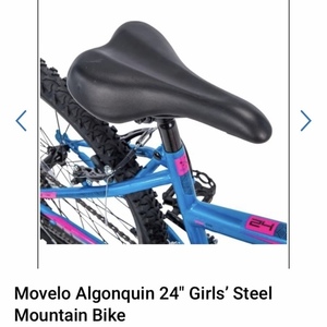 2020 Huffy Movelo Algonquin Blue and Pink