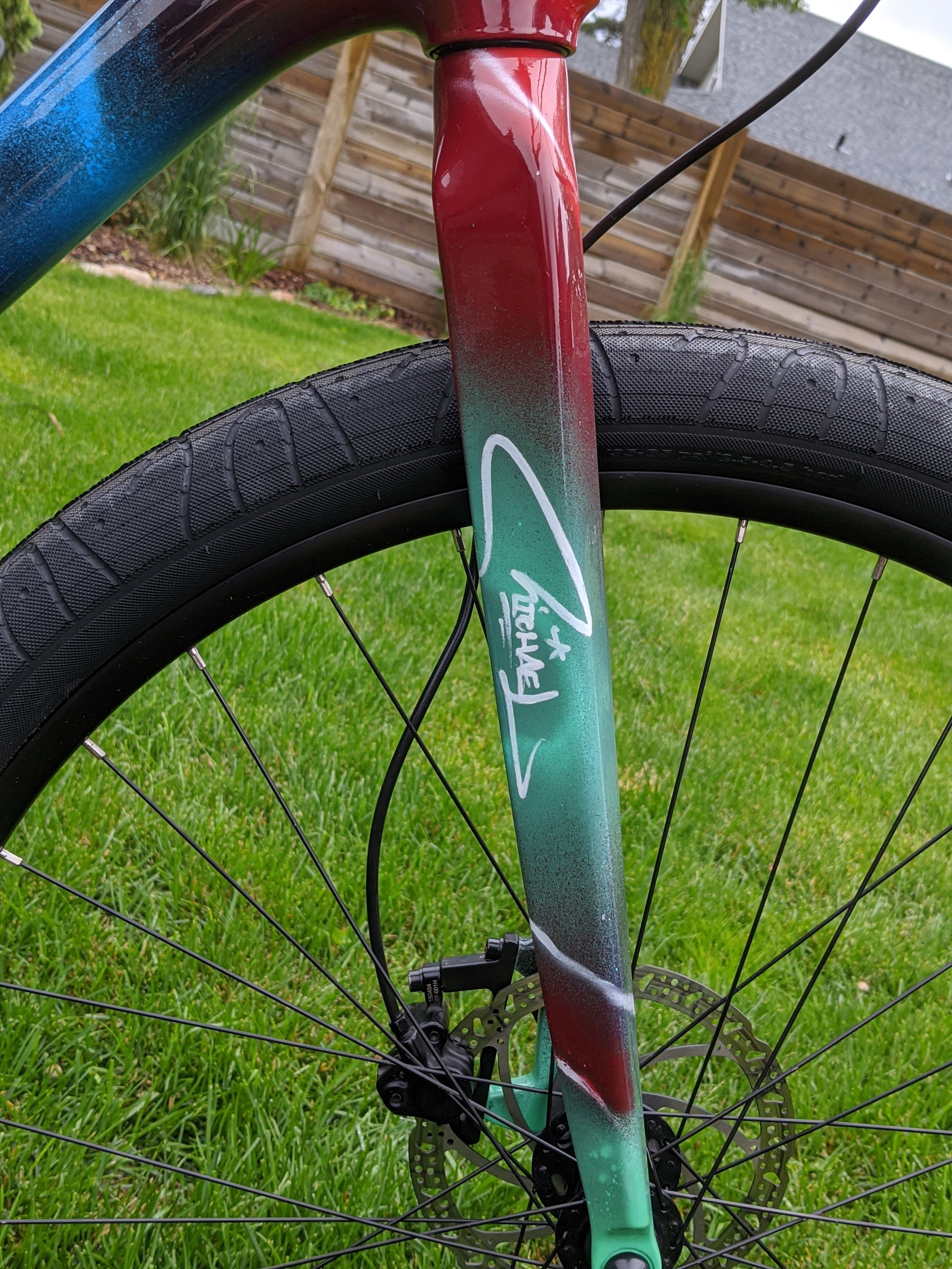 2020 Custom Carbon Mountain Bike Graffiti Bike