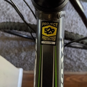2020 Giant Roam Silver, gray or bare metal and Green
