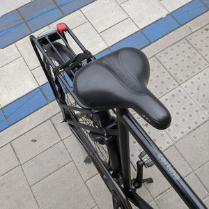 Cortina Cycles Human Powered Vehicle Black