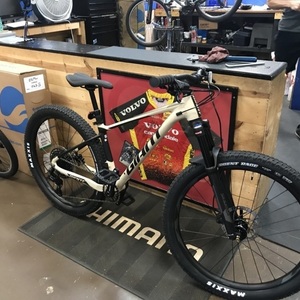 2020 Giant Fathom 2 Yellow or Gold and Black