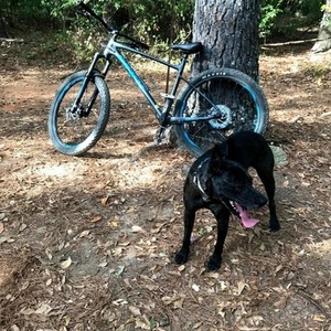 2019 Giant Fathom 2 Black and Blue