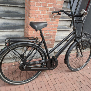 Cortina Cycles Human Powered Vehicle Blue