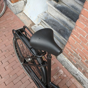 Cortina Cycles Human Powered Vehicle Blue