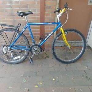Nishiki Caribou Blue