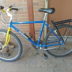 Nishiki Caribou Blue