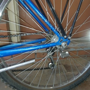 Nishiki Caribou Blue