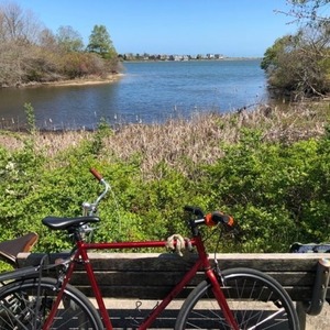 Fyxation Pixel Red