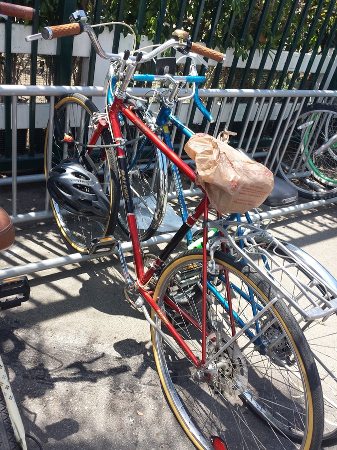 1980 raleigh grand prix