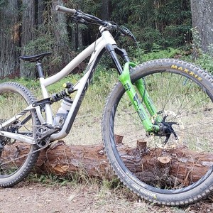 2020 Ibis Ripmo AF Silver, gray or bare metal