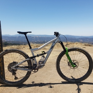 2020 Ibis Ripmo AF Silver, gray or bare metal