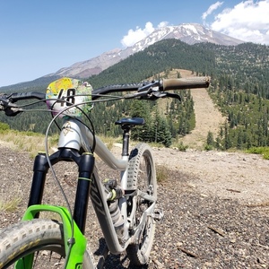 2020 Ibis Ripmo AF Silver, gray or bare metal