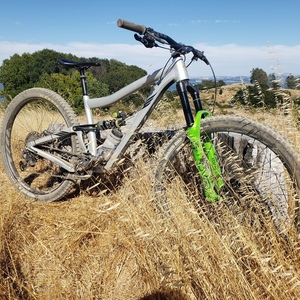 2020 Ibis Ripmo AF Silver, gray or bare metal