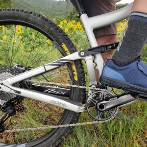 2020 Ibis Ripmo AF Silver, gray or bare metal