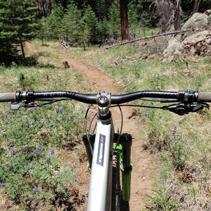 2020 Ibis Ripmo AF Silver, gray or bare metal