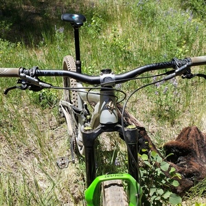2020 Ibis Ripmo AF Silver, gray or bare metal