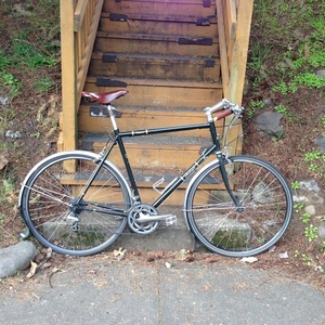 2011 Raleigh Clubman Green