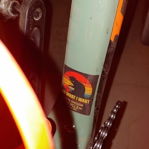 2020 Niner RLT 9 RDO Green, Black, and Orange