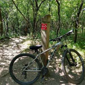 2018 Trek Marlin 5 Silver, gray or bare metal