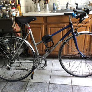 Cycles Caro Blue and Silver, gray or bare metal