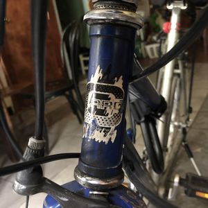 Cycles Caro Blue and Silver, gray or bare metal