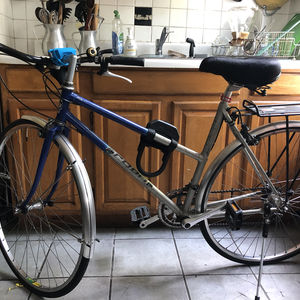 Cycles Caro Blue and Silver, gray or bare metal
