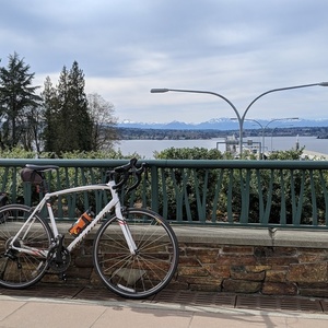 Specialized Allez Sport White, Black, and Red