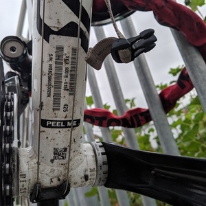 Specialized Allez Sport White, Black, and Red