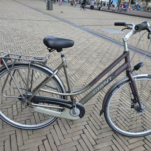 Giant Brasil Silver, gray or bare metal