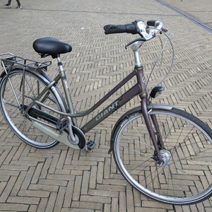 Giant Brasil Silver, gray or bare metal