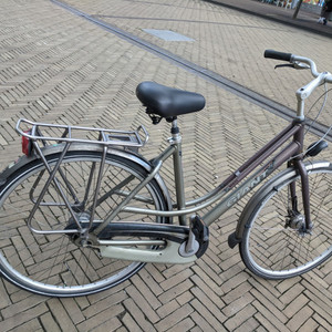 Giant Brasil Silver, gray or bare metal