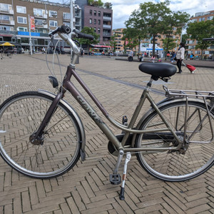 Giant Brasil Silver, gray or bare metal