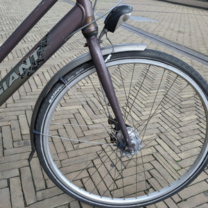 Giant Brasil Silver, gray or bare metal