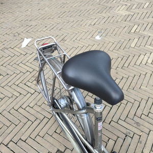 Giant Brasil Silver, gray or bare metal