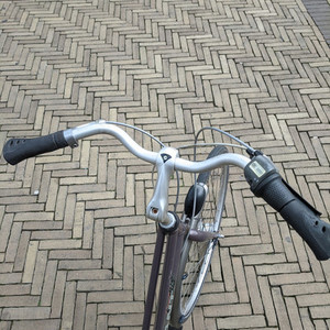 Giant Brasil Silver, gray or bare metal