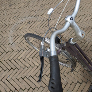 Giant Brasil Silver, gray or bare metal