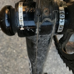 Kona jake the snake Black and Green