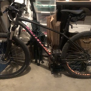 2019 Specialized Pitch Expert Black