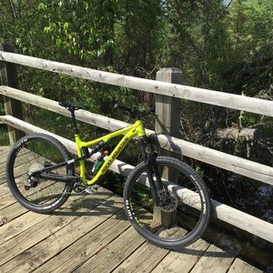 2020 Rocky Mountain Bicycles Thnuderbolt Yellow or Gold