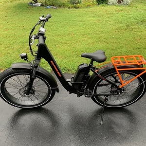 2020 Rad Power Bikes RadRover ST 1 Black